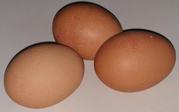 Eggs