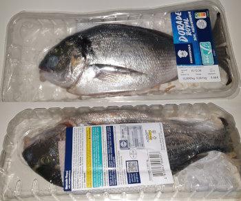Τσιπούρα / Dorade Royal / Gilt-head bream - Sparus