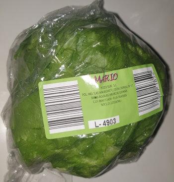 10-Lettuce-Mario-Spain.jpg