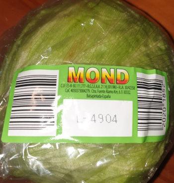 12-Eisberg-Mond-Spain-Lettuce.jpg