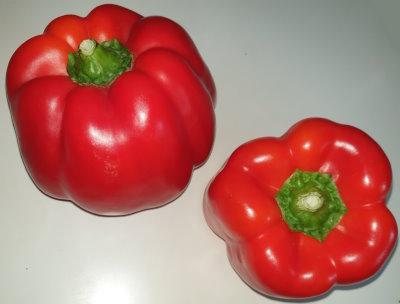 1225-Paprika-rot-red-peppers.jpg