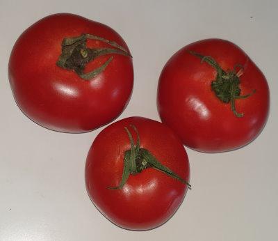 Tomatoes 3