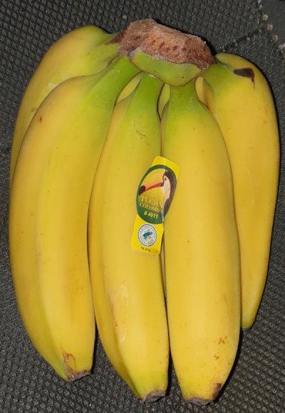 13-bananas-Tucan-Colombia.jpg