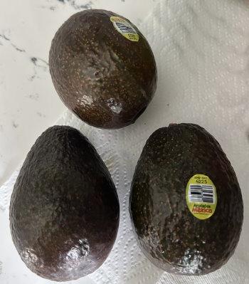 Avocados