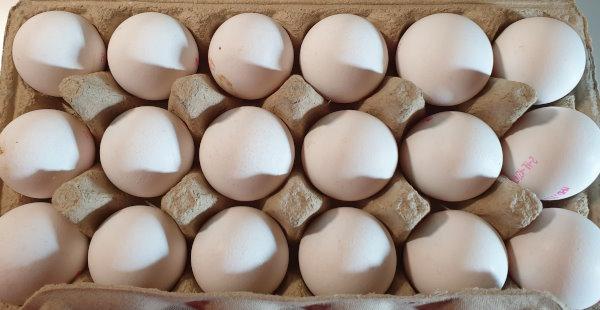 18-Frische-Eier-3.jpg