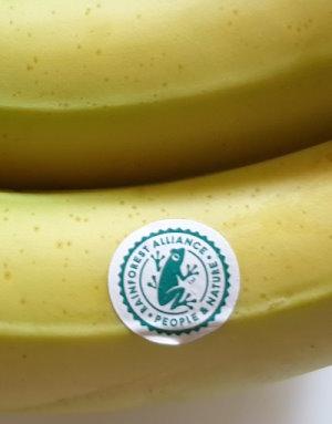 20250324_bananas.jpg