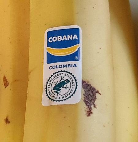 Bananas-Aldi-2025-10-15.jpg
