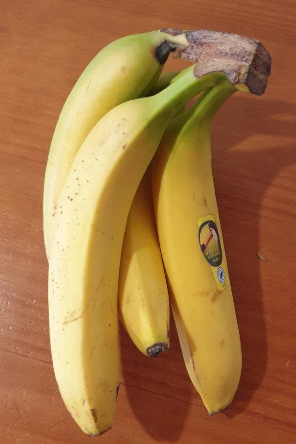 Bananas-Tucan-Colombia.jpg