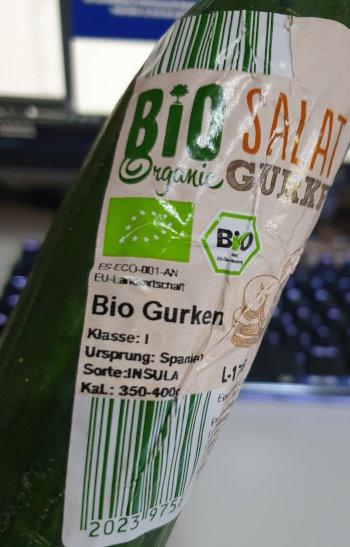 Bio-Salat-Gurken-aus-Spanien-2.jpg