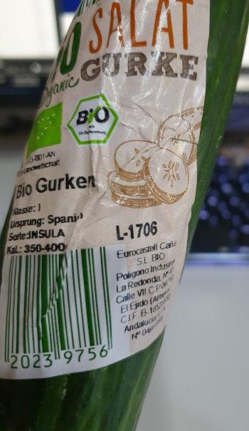 Bio-Salat-Gurken-aus-Spanien-4.jpg