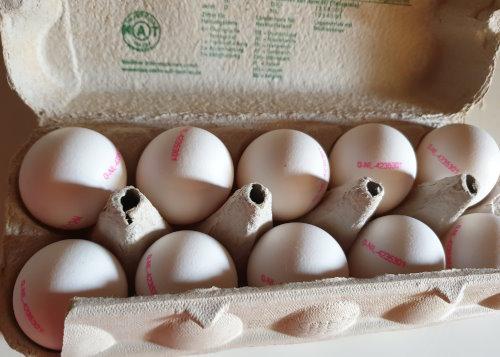 Bio-White-Size-M-no-chick-killing-4.jpg
