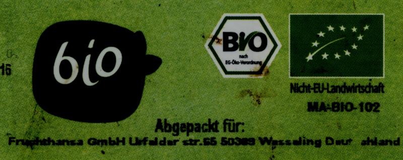 Bio-Zucchini-1.jpg