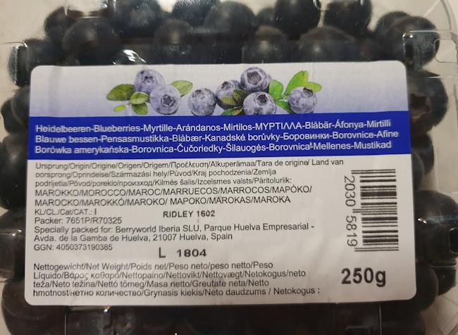 Blueberries-20260511_075240.jpg