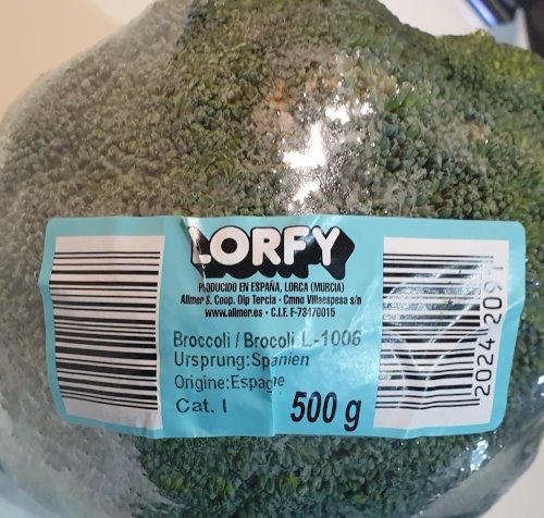 Broccoli-Lorfy-Spain.jpg