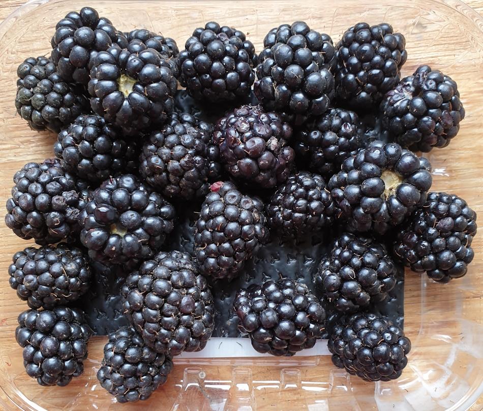 Brombeeren Blackberries Βατόμουρα