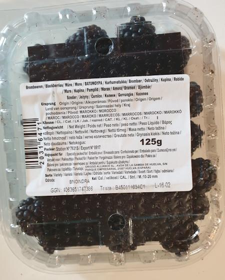 Brombeeren-Blackberries.jpg