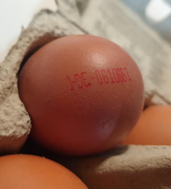 Brown-ean4056489705680-2022-01-12-lidl.jpg