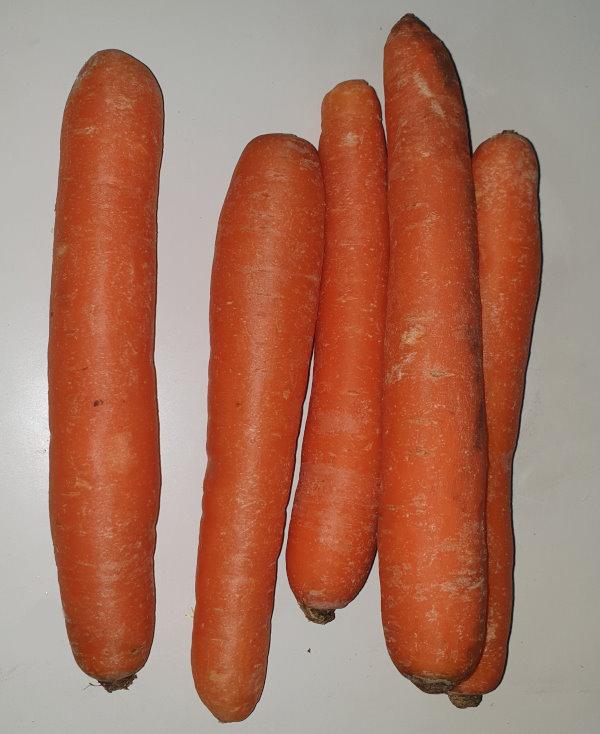 Carrots regular size 2