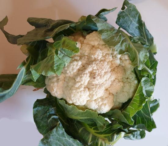 Cauliflower-Blumenkohl-1.jpg