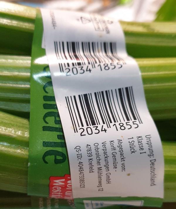 Celery-Staudensellerie-2025-11-01.jpg