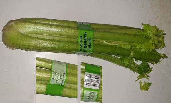 Celery, Staudensellerie