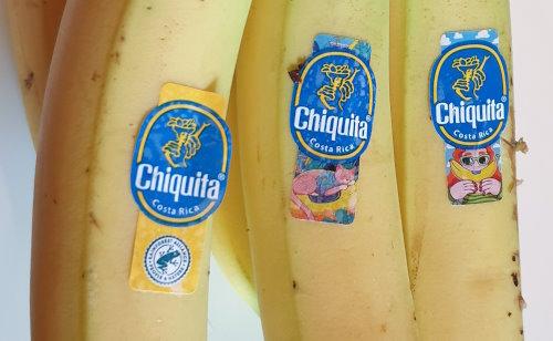 Chiquita-Bananas-1.jpg