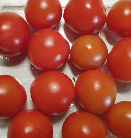 Coctailstrauchtomaten-2.jpg