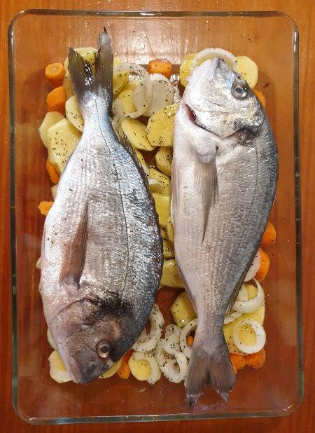 Τσιπούρα / Dorade Royal / Gilt-head bream - Sparus 3