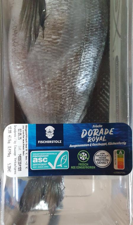 Dorade-Royal-b.jpg