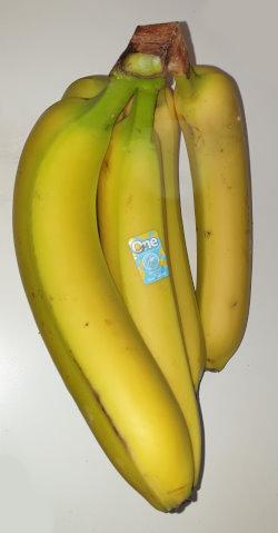 Ecuador-4011-One-Banana-a.jpg