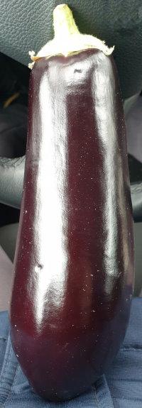 Eggplants-Auberginen-1.jpg