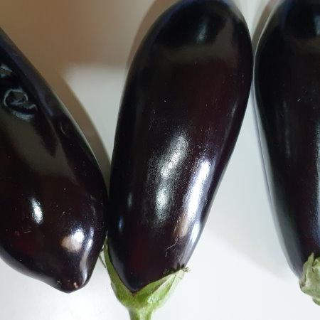Eggplants-Auberginen.jpg