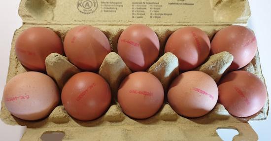 Eggs-Bio-Brown-3.jpg