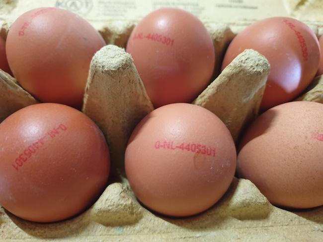 Eggs-Bio-Brown-4.jpg