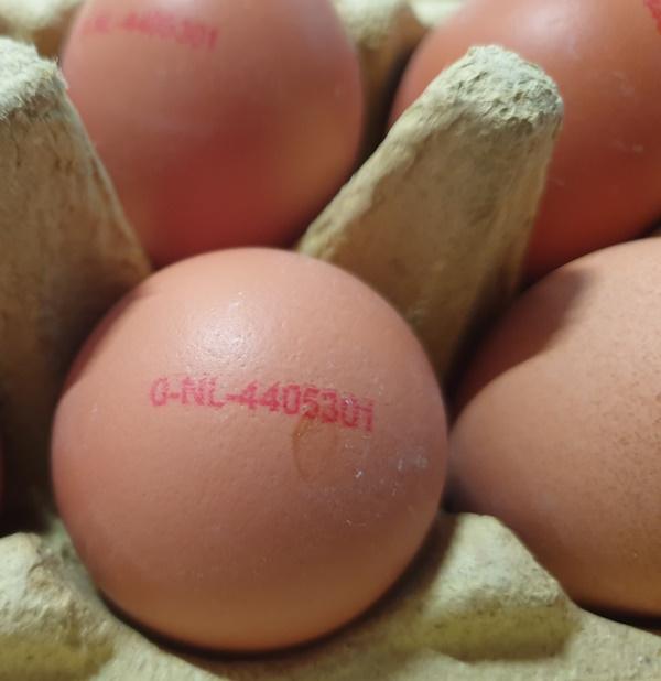 Eggs-Bio-Brown-5.jpg