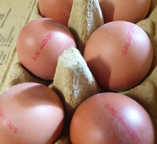 Eggs-Bio-Brown-6.jpg
