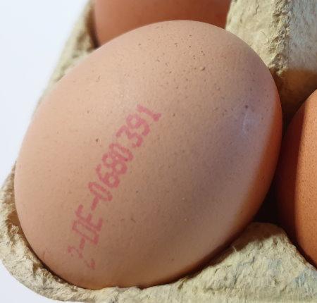 Eggs-Brown-Lowen-Ei-Hade-2.jpg