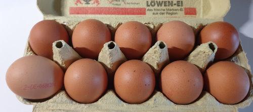 Eggs-Brown-Lowen-Ei-Hade.jpg