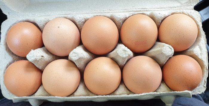 Eggs-Brown-Size-L-Hessen-DE-Freilandhaltung-5.jpg