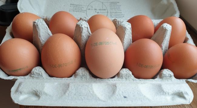 Eggs-Brown-aus-Freihandhaltung-Eltville-3.jpg
