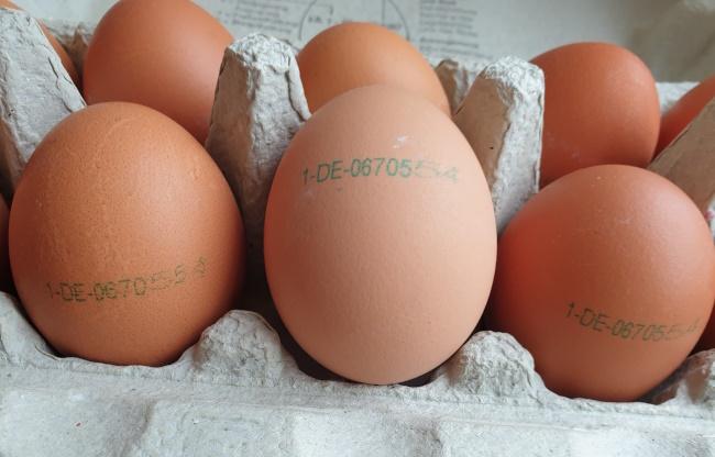 Eggs-Brown-aus-Freihandhaltung-Eltville-4.jpg