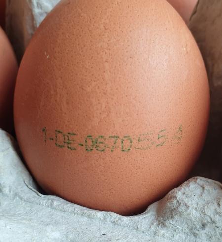 Eggs-Brown-aus-Freihandhaltung-Eltville-5.jpg