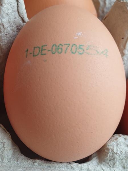 Eggs-Brown-aus-Freihandhaltung-Eltville-6.jpg