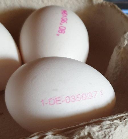 Eggs-Eier-White-Size-S-5.jpg