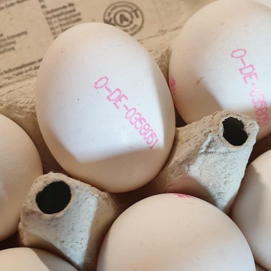 Eggs-White-Size-L-BIO-2026-03-06-5.jpg