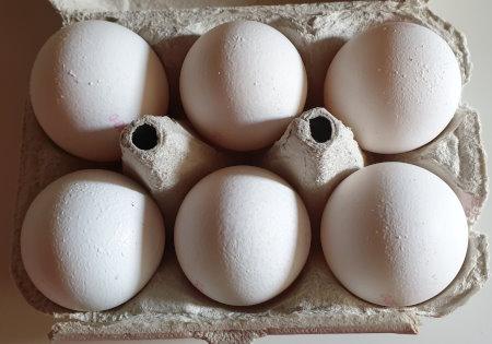Eggs-White-Size-M-no-chick-killing-BIO-aus-DE-3.jpg
