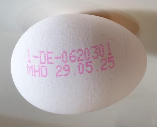 Eggs-White-size-L-b.jpg