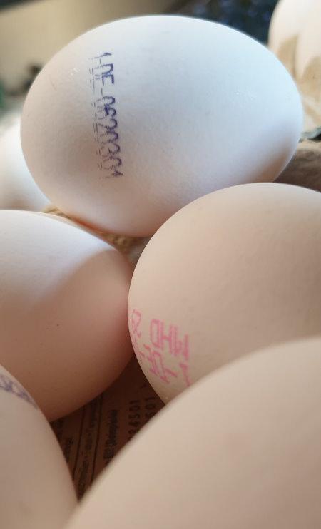 Eggs-White-size-L-c.jpg