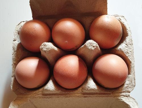 Eggs-vom-Land-Feusner-Brown-Size-M-4.jpg
