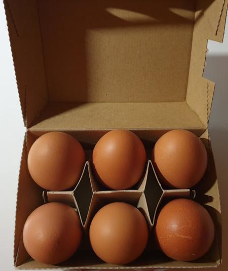 Eier-Grose-L-Kleinod-2.jpg